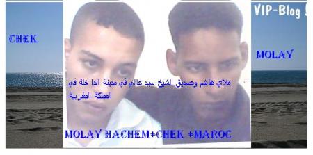 molay+chek
