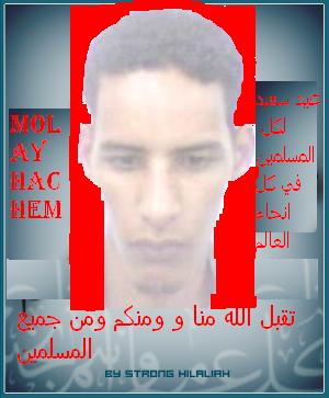 molay.hachem