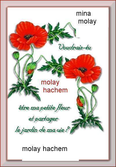 molay